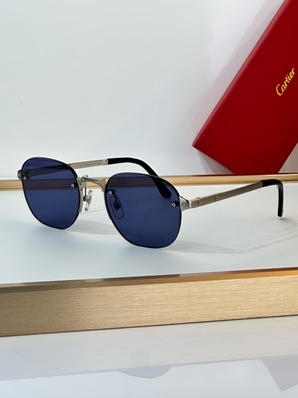 Cartier Glasses 08smh17 (5)