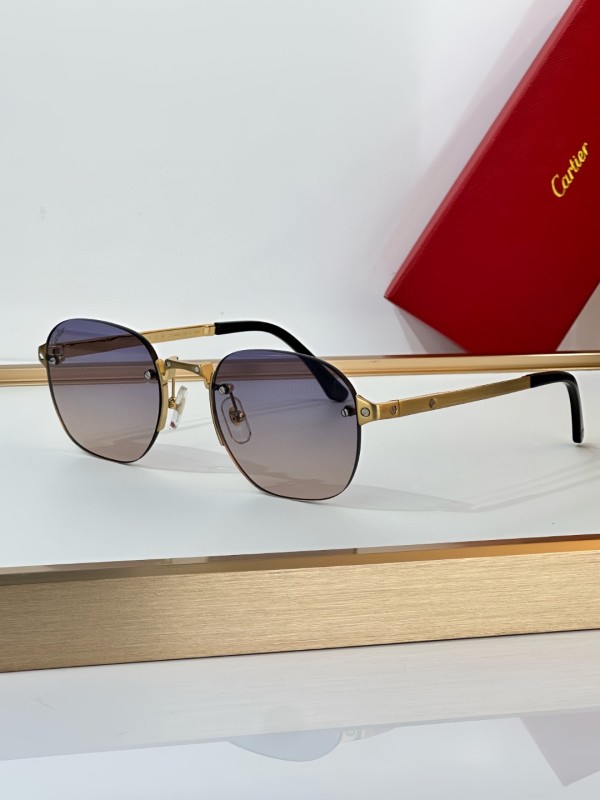 Cartier Glasses 08smh17 (7)