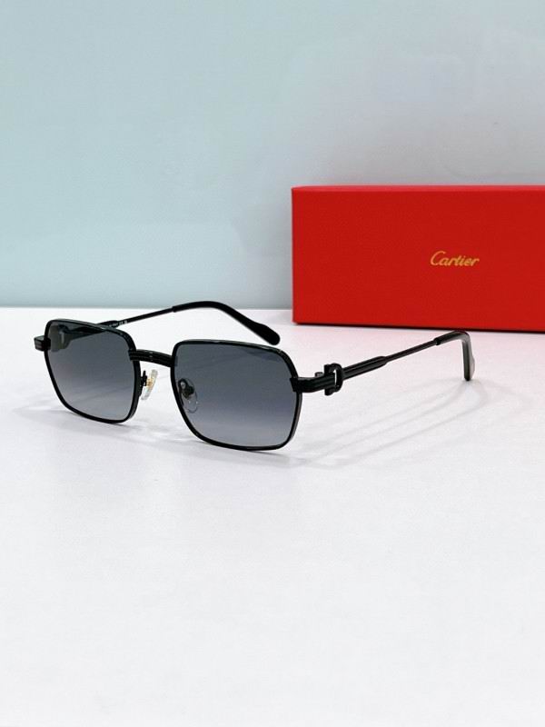 Cartier Glasses 08smh170 (6)
