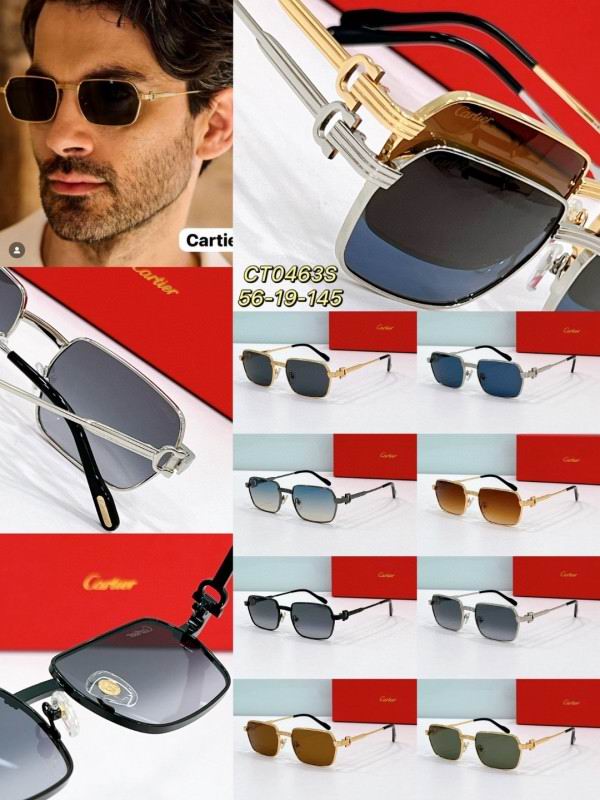 Cartier Glasses 08smh170 (9)