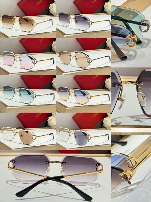 Cartier Glasses 08smh171 (10)