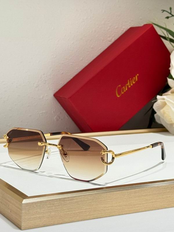 Cartier Glasses 08smh171 (2)