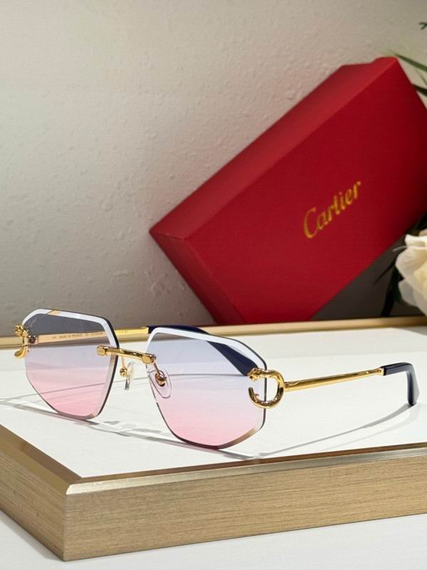 Cartier Glasses 08smh171 (3)