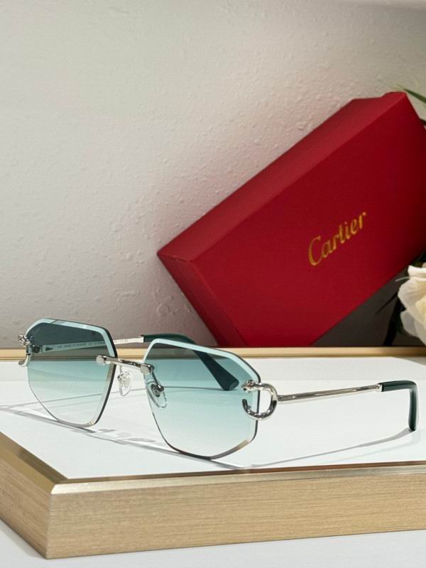 Cartier Glasses 08smh171 (4)