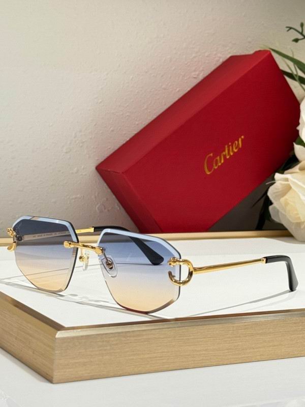 Cartier Glasses 08smh171 (5)