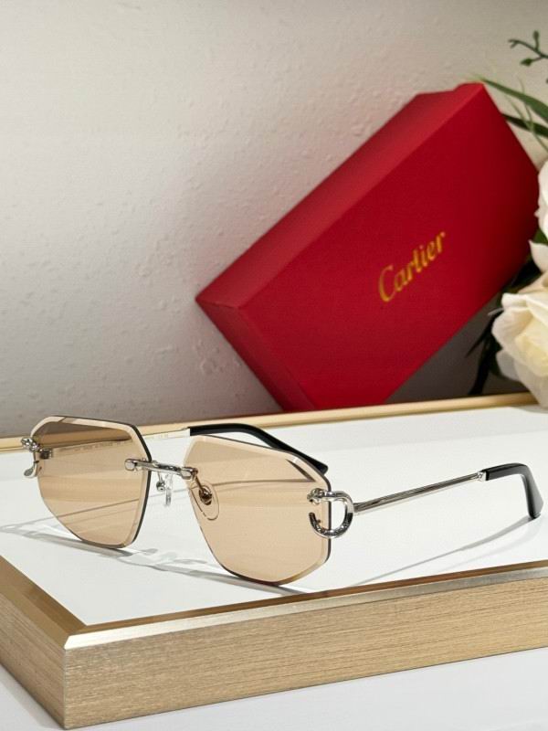 Cartier Glasses 08smh171 (6)