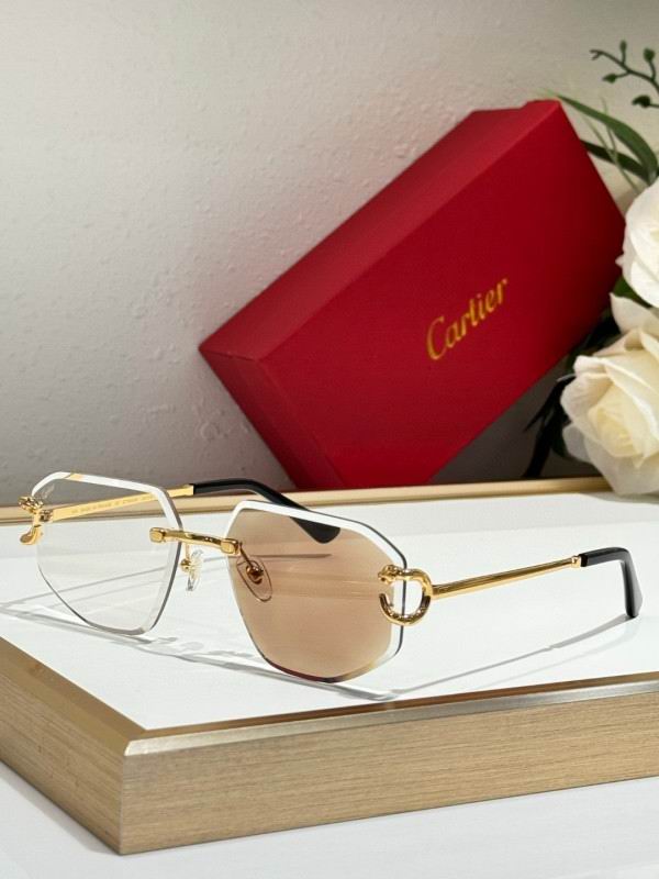 Cartier Glasses 08smh171 (7)