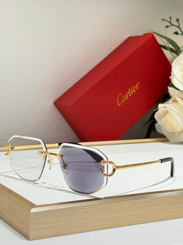 Cartier Glasses 08smh171 (8)