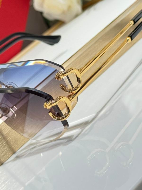 Cartier Glasses 08smh171 (9)