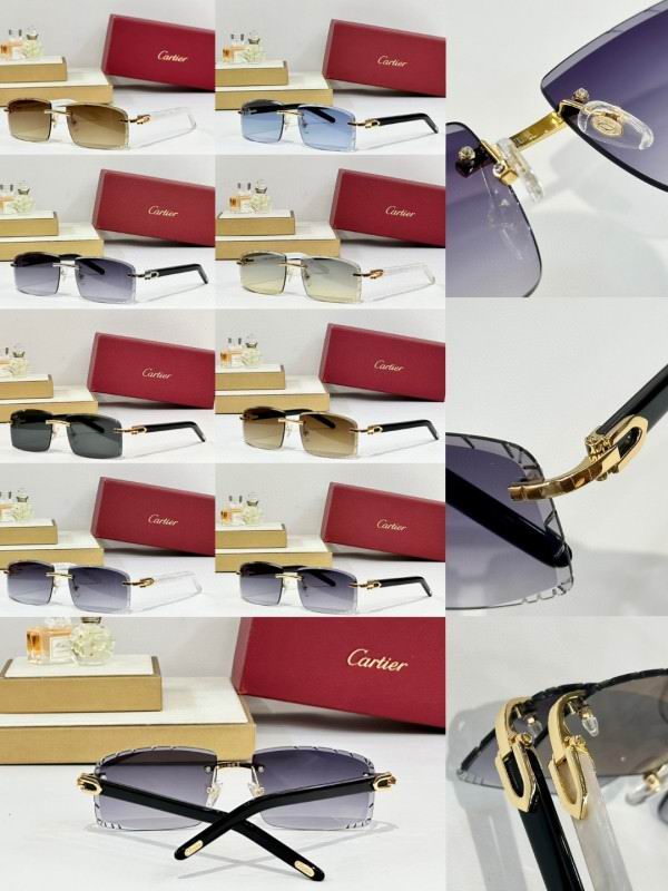 Cartier Glasses 08smh172 (10)