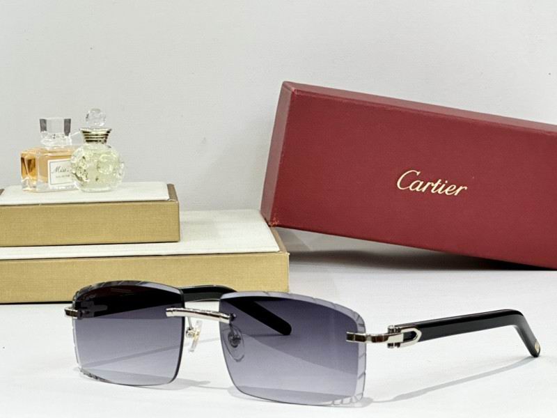 Cartier Glasses 08smh172 (4)