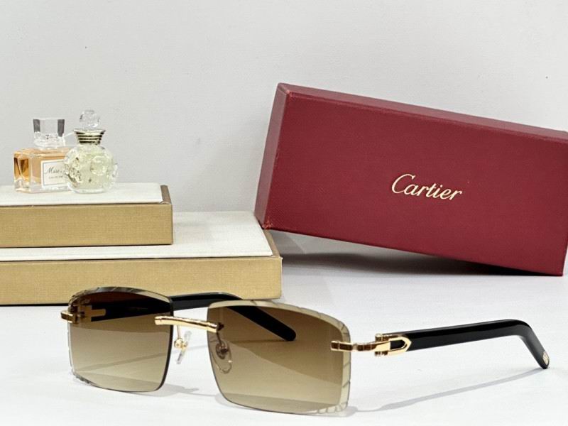 Cartier Glasses 08smh172 (5)