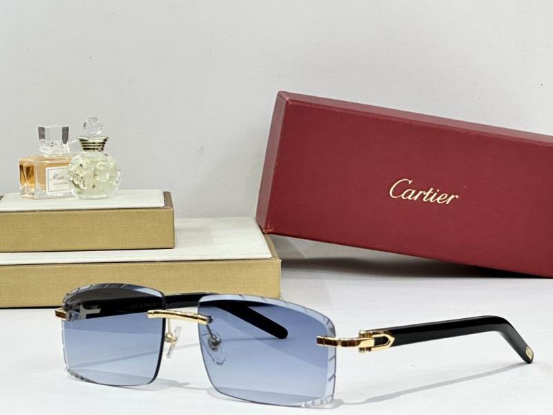 Cartier Glasses 08smh172 (6)