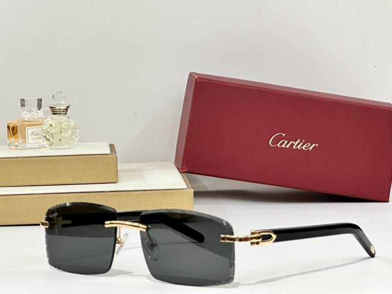 Cartier Glasses 08smh172 (7)