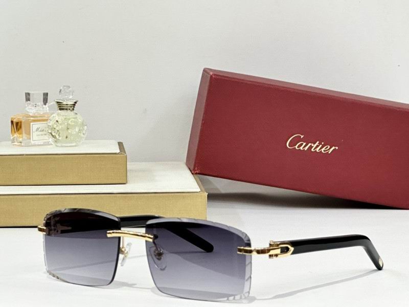Cartier Glasses 08smh172 (8)
