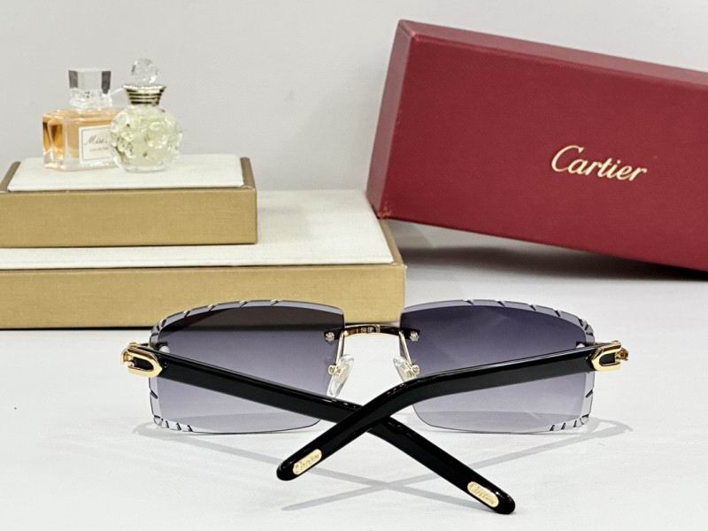 Cartier Glasses 08smh172 (9)