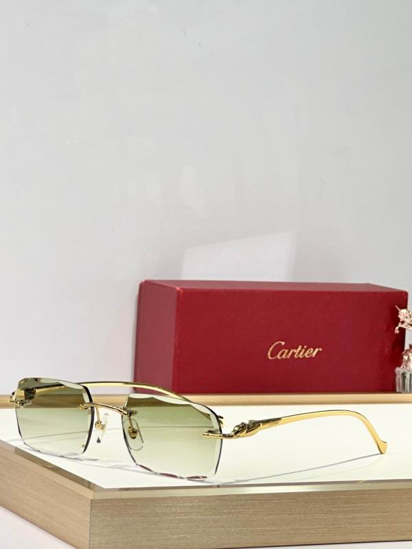 Cartier Glasses 08smh173 (1)