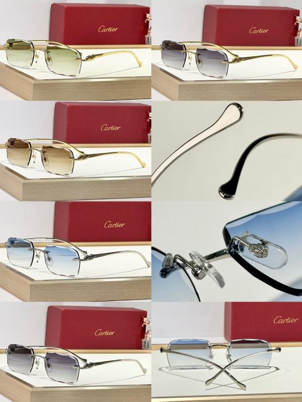 Cartier Glasses 08smh173 (10)