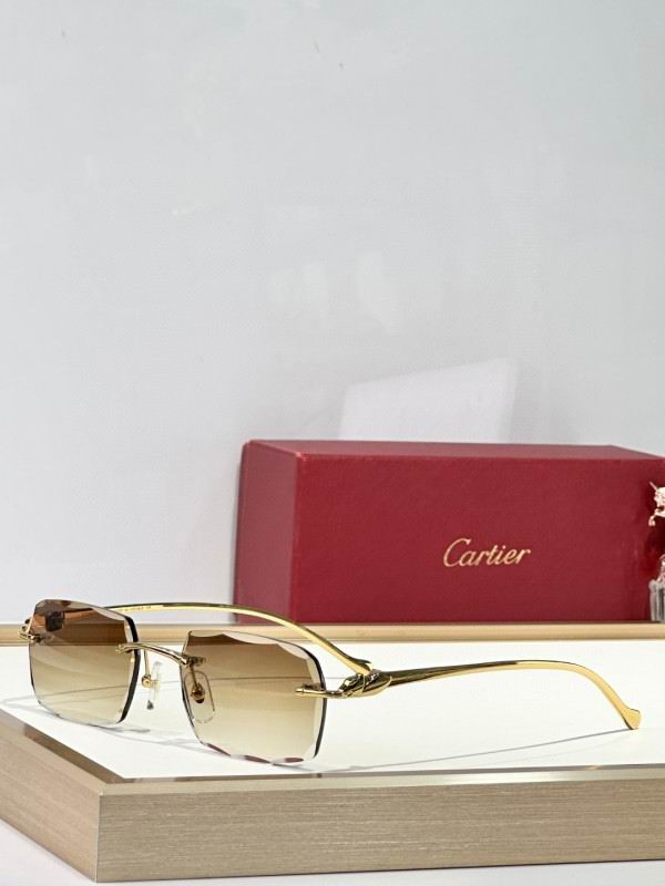 Cartier Glasses 08smh173 (2)