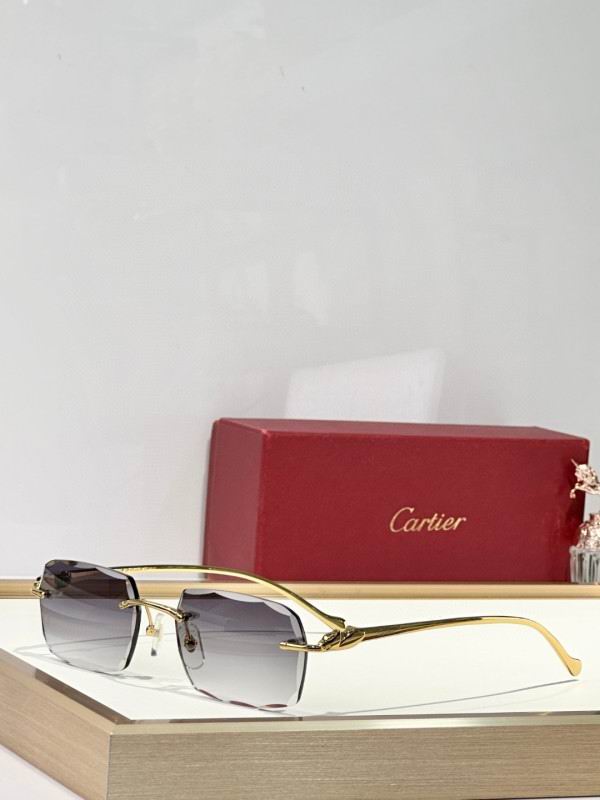 Cartier Glasses 08smh173 (3)
