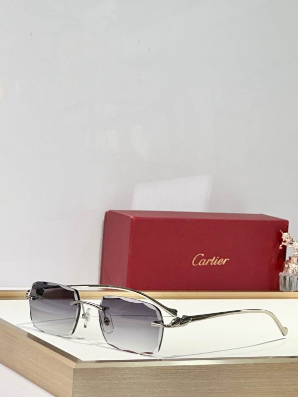 Cartier Glasses 08smh173 (4)