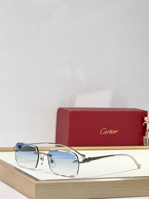 Cartier Glasses 08smh173 (5)