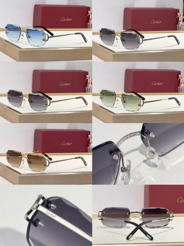 Cartier Glasses 08smh174 (10)