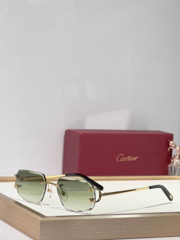 Cartier Glasses 08smh174 (3)