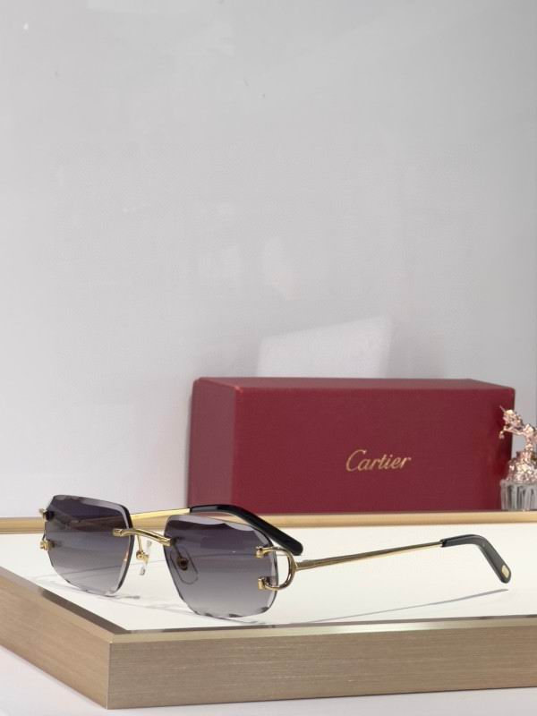 Cartier Glasses 08smh174 (4)