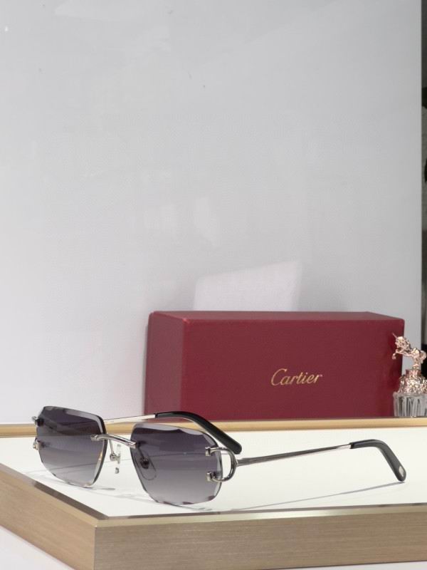 Cartier Glasses 08smh174 (5)