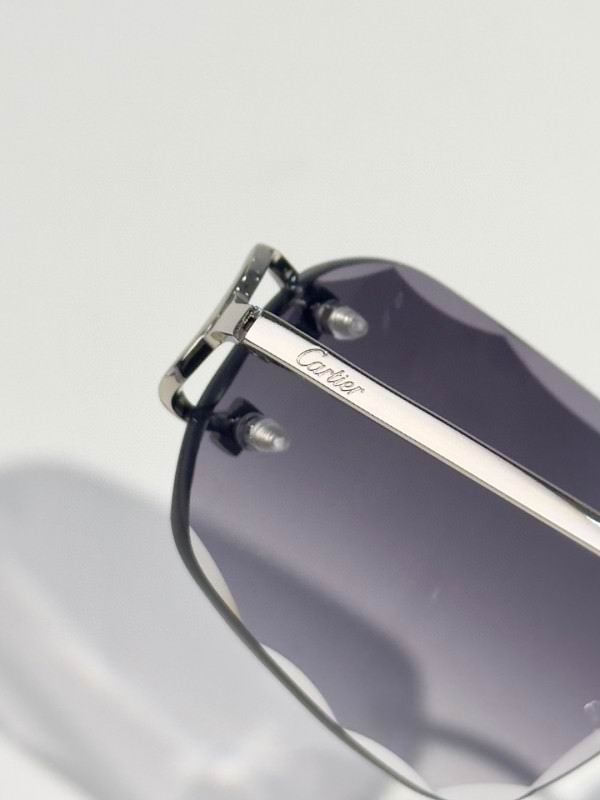 Cartier Glasses 08smh174 (6)