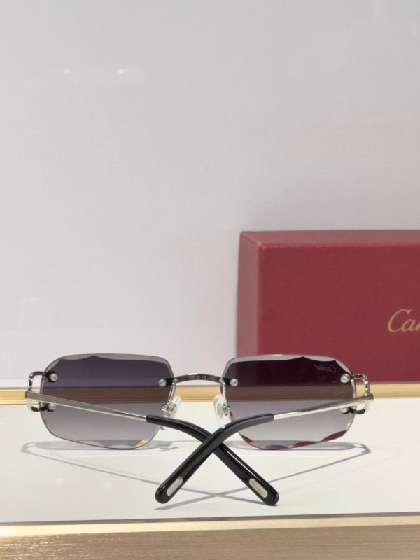 Cartier Glasses 08smh174 (9)