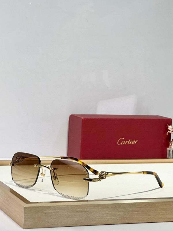 Cartier Glasses 08smh175 (1)