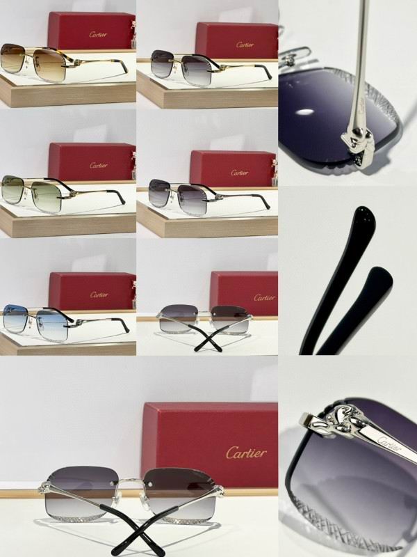 Cartier Glasses 08smh175 (10)