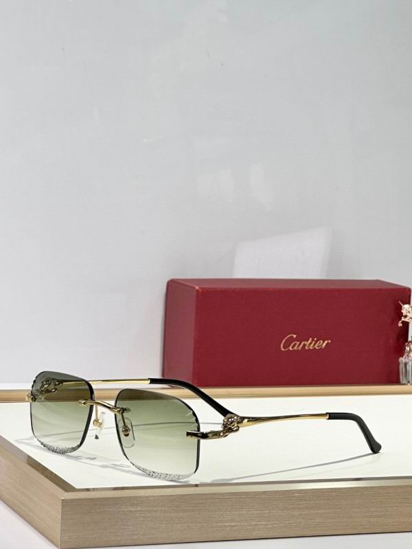 Cartier Glasses 08smh175 (2)