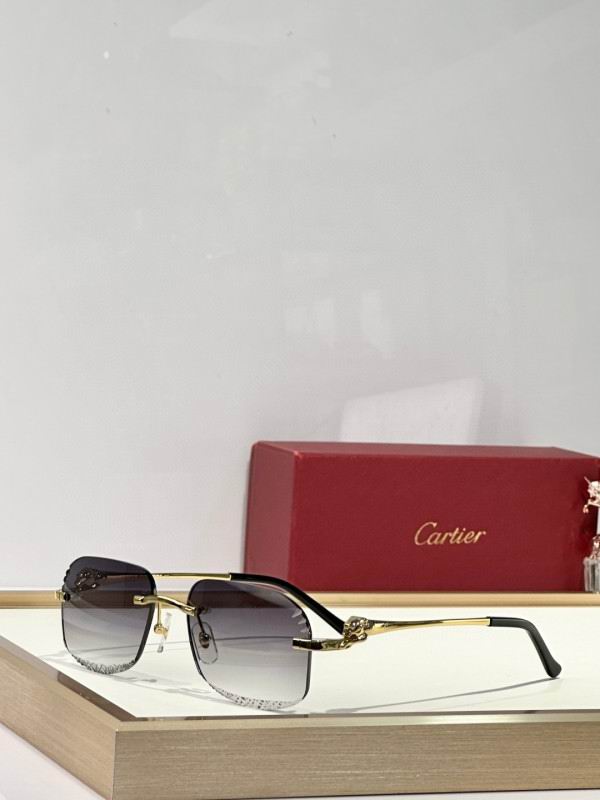 Cartier Glasses 08smh175 (4)