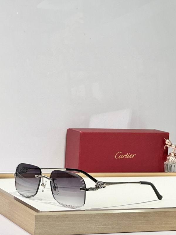 Cartier Glasses 08smh175 (5)