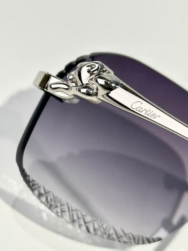 Cartier Glasses 08smh175 (6)