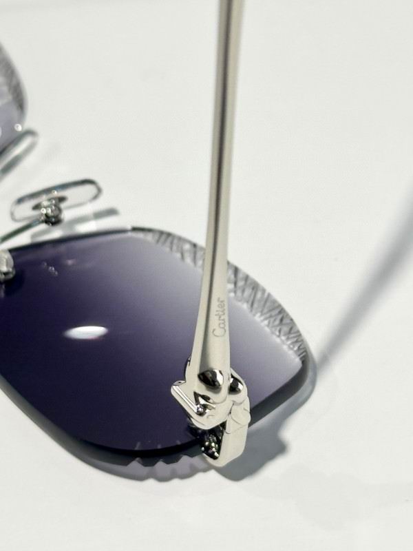 Cartier Glasses 08smh175 (8)