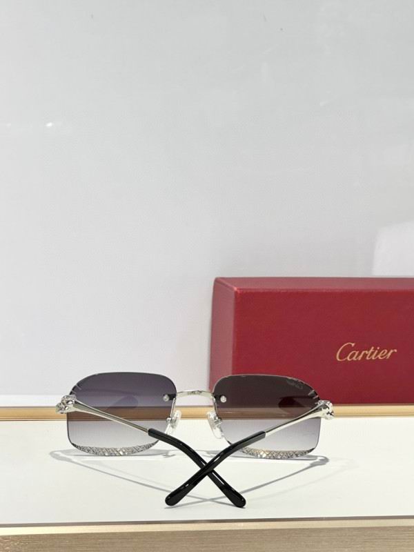 Cartier Glasses 08smh175 (9)