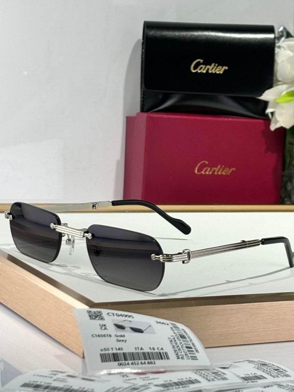 Cartier Glasses 08smh176 (1)