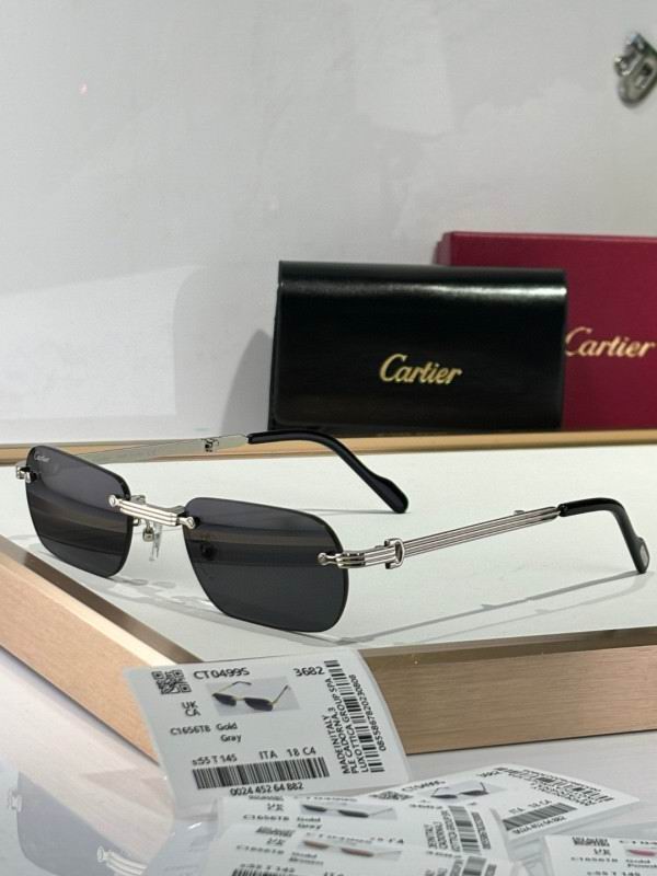 Cartier Glasses 08smh176 (3)