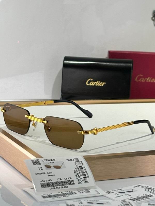 Cartier Glasses 08smh176 (4)