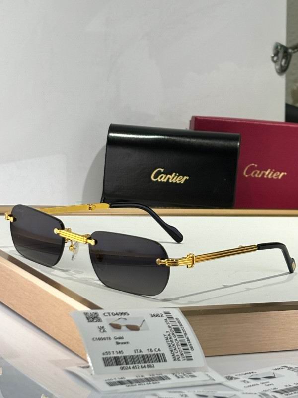 Cartier Glasses 08smh176 (6)