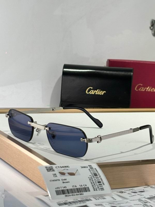 Cartier Glasses 08smh176 (7)