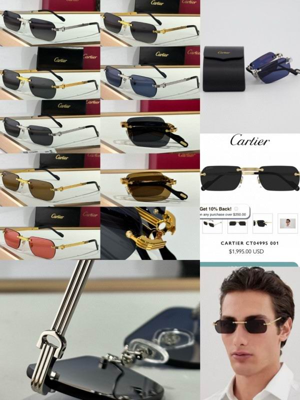 Cartier Glasses 08smh177 (10)