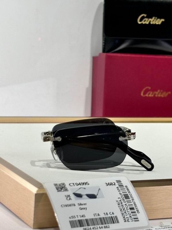 Cartier Glasses 08smh177 (2)