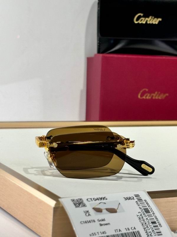Cartier Glasses 08smh177 (3)