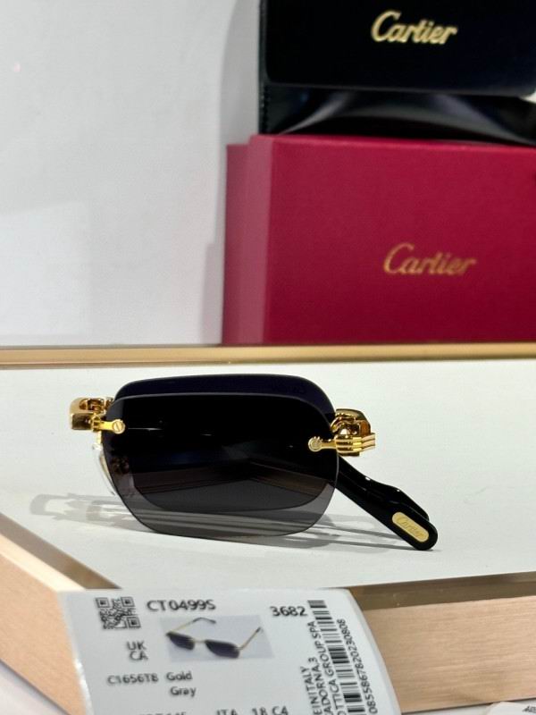 Cartier Glasses 08smh177 (4)