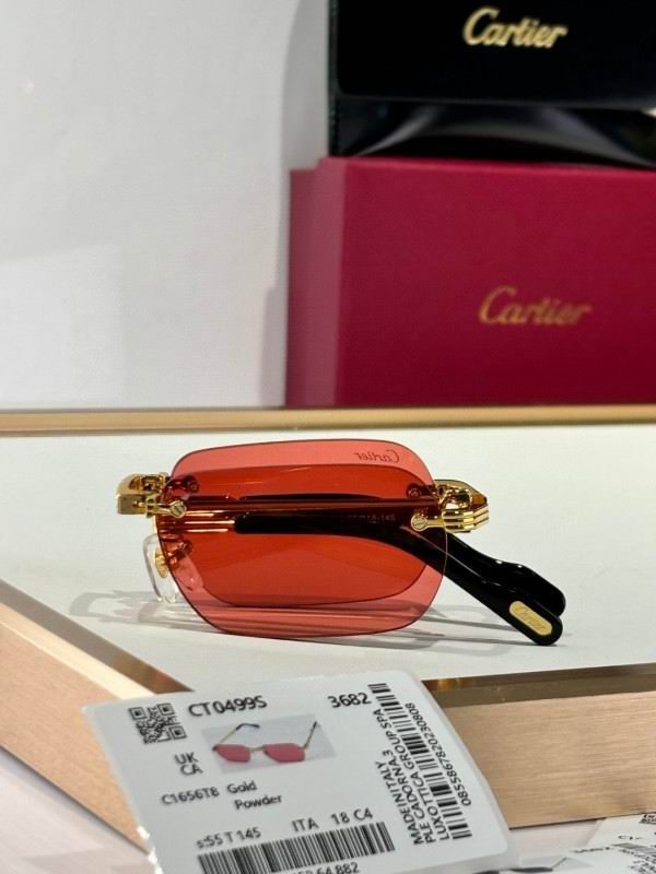 Cartier Glasses 08smh177 (5)